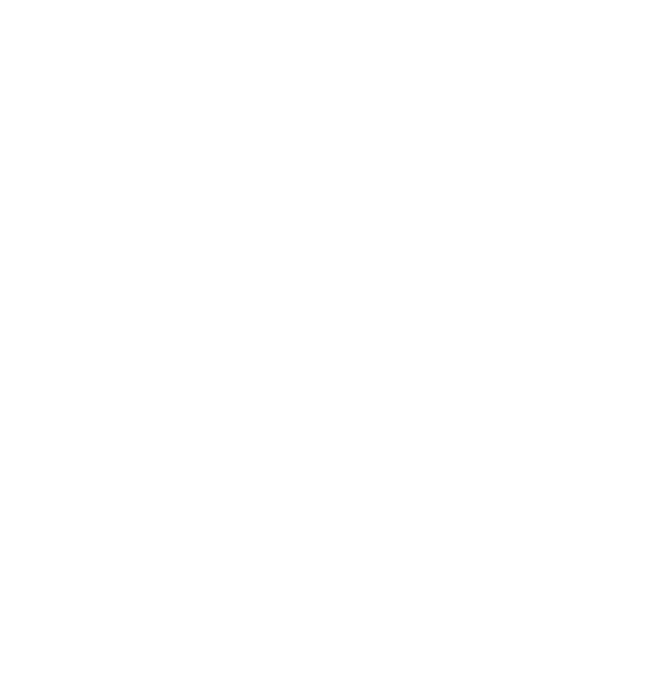 cabinets icon